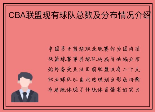 CBA联盟现有球队总数及分布情况介绍