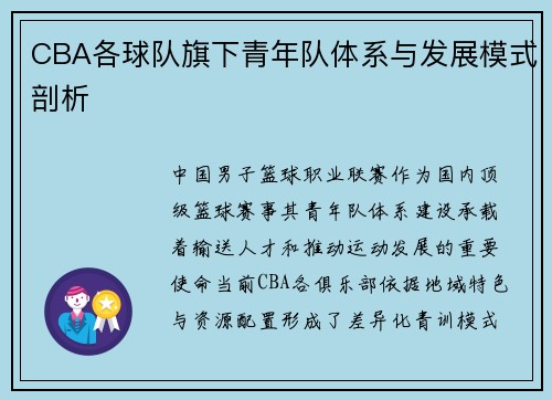 CBA各球队旗下青年队体系与发展模式剖析